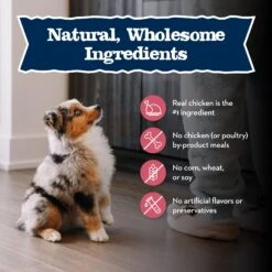 Blue Buffalo Baby Blue Small Breed Healthy Growth Formula Natural Chicken & Oatmeal Rice Recipe Puppy Dry Food, 4-lb Bag -Cozy Paws 354134 PT5. AC SS1800 V1646088416