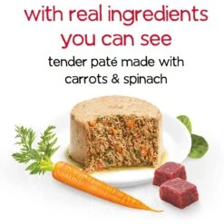 Purina Beneful Infused Pate With Real Beef, Carrots & Spinach Wet Dog Food -Cozy Paws 354325 PT2. AC SS1800 V1639503114