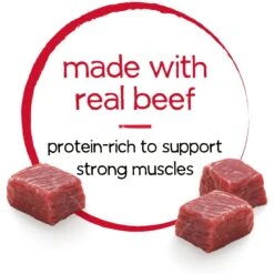 Purina Beneful Infused Pate With Real Beef, Carrots & Spinach Wet Dog Food -Cozy Paws 354325 PT4. AC SS1800 V1639503157