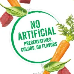 Purina Beneful Infused Pate With Real Beef, Carrots & Spinach Wet Dog Food -Cozy Paws 354325 PT7. AC SS1800 V1639503129