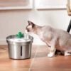 Frisco Stainless Steel Cactus & Leaf Dog & Cat Fountain 1 Frisco Stainless Steel Cactus & Leaf Dog & Cat Fountain -Cozy Paws 355814 MAIN. AC SS1800 V1665684257
