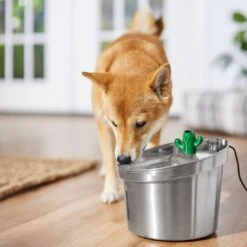 Frisco Stainless Steel Cactus & Leaf Dog & Cat Fountain 14 Frisco Stainless Steel Cactus & Leaf Dog & Cat Fountain -Cozy Paws 355814 PT5. AC SS1800 V1665683869