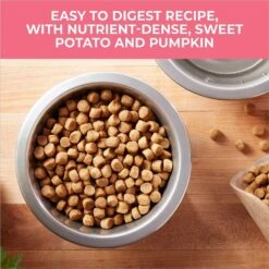 Nature's Recipe Grain-Free Salmon, Sweet Potato & Pumpkin Recipe Dry Dog Food -Cozy Paws 355834 PT2. AC SS1800 V1640643409