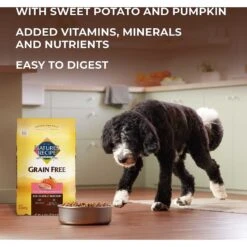 Nature's Recipe Grain-Free Salmon, Sweet Potato & Pumpkin Recipe Dry Dog Food -Cozy Paws 355834 PT4. AC SS1800 V1640645806