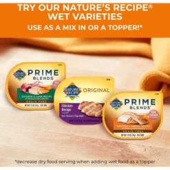Nature's Recipe Grain-Free Salmon, Sweet Potato & Pumpkin Recipe Dry Dog Food -Cozy Paws 355834 PT6. AC SS1800 V1640646723