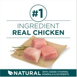 Purina ONE +Plus Natural Large Breed Formula Dry Puppy Food -Cozy Paws 355894 PT3. AC SS1800 V1676318664