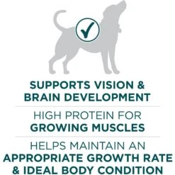 Purina ONE +Plus Natural Large Breed Formula Dry Puppy Food -Cozy Paws 355894 PT4. AC SS1800 V1676051535