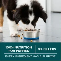 Purina ONE +Plus Natural Large Breed Formula Dry Puppy Food -Cozy Paws 355894 PT6. AC SS1800 V1676319357