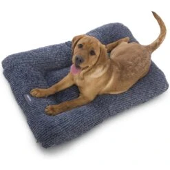 West Paw Heyday Dog Bed -Cozy Paws 356423 PT2. AC SS1800 V1642467698