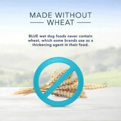 Blue Buffalo Homestyle Recipe Lamb Dinner With Garden Vegetables Canned Dog Food & Blue Buffalo Homestyle Recipe Beef Dinner With Garden Vegetables & Sweet Potatoes Canned Dog Food -Cozy Paws 356842 PT8. AC SS1800 V1640887332