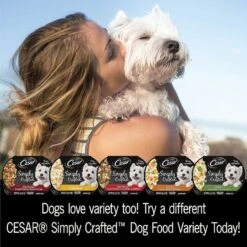 Cesar Simply Crafted Chicken, Sweet Potato, Apple, Barley & Spinach Limited-Ingredient Adult Wet Dog Food Topper & Cesar Simply Crafted Chicken Limited-Ingredient Wet Dog Food Topper -Cozy Paws 356873 PT8. AC SS1800 V1640892992