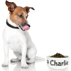 GoTags Personalized Dog Bowl, White -Cozy Paws 357167 PT2. AC SS1800 V1645489371