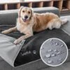 GoTags Personalized Dog Blanket -Cozy Paws 357892 MAIN. AC SS1800 V1643224642