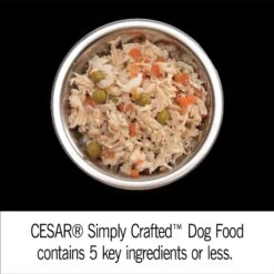 Cesar Simply Crafted Chicken Cuisine Complement Adult Wet Dog Food Topper, 1.3-oz Tubs, Case Of 24 -Cozy Paws 358219 PT3. AC SS1800 V1641508298