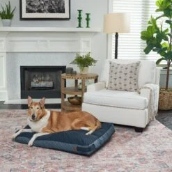 Bark And Slumber Rectangular Lounger Pillow Dog Bed With Removable Cover -Cozy Paws 361297 PT2. AC SS1800 V1646842637
