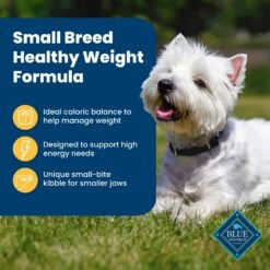 Blue Buffalo Life Protection Formula Small Breed Healthy Weight Adult Chicken & Brown Rice Recipe Dry Dog Food -Cozy Paws 361629 PT3. AC SS1800 V1704319835