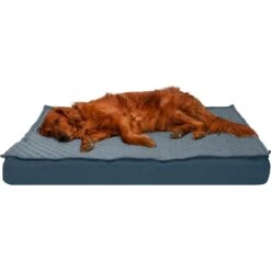 FurHaven Quilt Top Orthopedic Convertible Indoor/Outdoor Cat & Dog Bed -Cozy Paws 362112 PT1. AC SS1800 V1667227445