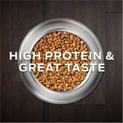 Purina Pro Plan Veterinary Diets CC CardioCare High Protein Chicken Flavor Dry Dog Food -Cozy Paws 362191 PT2. AC SS1800 V1674849781