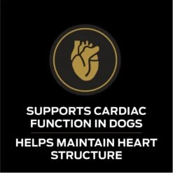 Purina Pro Plan Veterinary Diets CC CardioCare High Protein Chicken Flavor Dry Dog Food -Cozy Paws 362191 PT3. AC SS1800 V1674852068