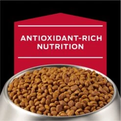 Purina Pro Plan Veterinary Diets CC CardioCare High Protein Chicken Flavor Dry Dog Food -Cozy Paws 362191 PT8. AC SS1800 V1674676642