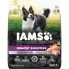 Iams Advanced Health Healthy Digestion With Probiotics Formula With Chicken & Whole Grain Adult Dry Dog Food
