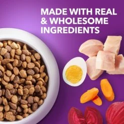 Iams Advanced Health Healthy Digestion With Probiotics Formula With Chicken & Whole Grain Adult Dry Dog Food -Cozy Paws 362450 PT2. AC SS1800 V1668023594