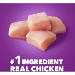 Iams Advanced Health Healthy Digestion With Probiotics Formula With Chicken & Whole Grain Adult Dry Dog Food -Cozy Paws 362450 PT3. AC SS1800 V1667865237