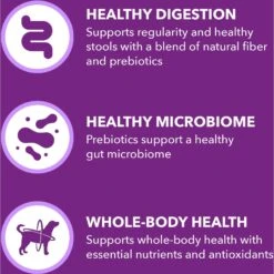 Iams Advanced Health Healthy Digestion With Probiotics Formula With Chicken & Whole Grain Adult Dry Dog Food -Cozy Paws 362450 PT4. AC SS1800 V1668024163