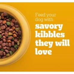 Pedigree Complete Nutrition Grilled Steak & Vegetable Flavor Dog Kibble Adult Dry Dog Food 14 Pedigree Complete Nutrition Grilled Steak & Vegetable Flavor Dog Kibble Adult Dry Dog Food -Cozy Paws 362455 PT3. AC SS1800 V1697638977