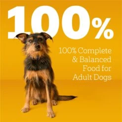 Pedigree Complete Nutrition Roasted Chicken, Rice & Vegetable Flavor Dog Kibble Adult Dry Dog Food 19 Pedigree Complete Nutrition Roasted Chicken, Rice & Vegetable Flavor Dog Kibble Adult Dry Dog Food -Cozy Paws 362466 PT8. AC SS1800 V1668026553