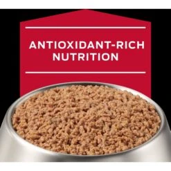 Purina Pro Plan Veterinary Diets CC Cardiocare Canine Formula Chicken Flavor Canned Dog Food, 13-oz, Case Of 12 -Cozy Paws 362729 PT7. AC SS1800 V1700160211