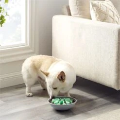 Outward Hound Fun Feeder Wobble Slo-Bowl Dog Bowl, Mint -Cozy Paws 363002 PT5. AC SS1800 V1694287364