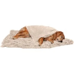 FurHaven Polyester Long Fur & Velvet Dog Blanket -Cozy Paws 363174 PT3. AC SS1800 V1657805426