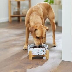 Frisco Elevated Terrazzo Non-skid Ceramic Bowl With Bamboo Stand -Cozy Paws 363375 PT2. AC SS1800 V1657657266