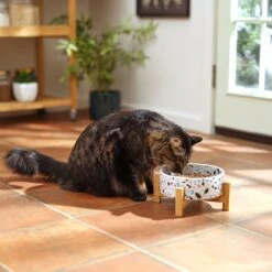 Frisco Elevated Terrazzo Non-skid Ceramic Bowl With Bamboo Stand -Cozy Paws 363375 PT3. AC SS1800 V1658182548