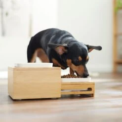 Frisco Elevated Non-Skid Bamboo Melamine Bowl Double Diner With Bamboo Stand -Cozy Paws 363385 PT5. AC SS1800 V1657657267