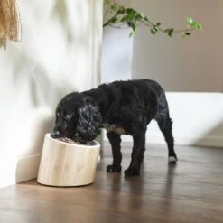 Frisco Elevated Slanted Bamboo Melamine Non-Skid Dog Bowl With Bamboo Stand -Cozy Paws 363387 PT2. AC SS1800 V1657657267