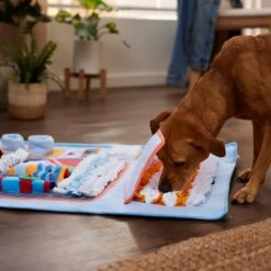 Frisco Vending Machine Snuffle Mat, Blue, Large -Cozy Paws 363397 PT2. AC SS1800 V1660750518