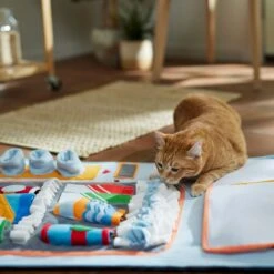 Frisco Vending Machine Snuffle Mat, Blue, Large -Cozy Paws 363397 PT3. AC SS1800 V1660750516