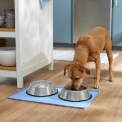 Frisco Silicone Dog & Cat Food Mat, Blue -Cozy Paws 363399 PT2. AC SS1800 V1660750522