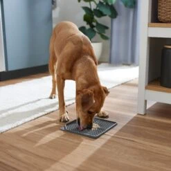 Frisco Non-skid Square Silicone Dog & Cat Lick Mat -Cozy Paws 363402 PT2. AC SS1800 V1668118082