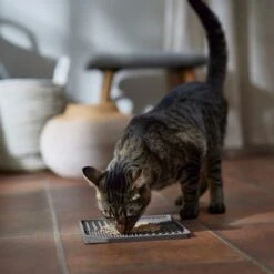 Frisco Non-skid Square Silicone Dog & Cat Lick Mat -Cozy Paws 363402 PT3. AC SS1800 V1665170734