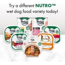 Nutro So Simple Meal Complement Chicken & Duck Recipe In Bone Broth Grain-Free Adult Wet Dog Food Topper -Cozy Paws 363762 PT8. AC SS1800 V1702666009