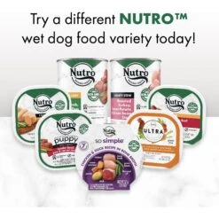 Nutro So Simple Meal Complement Chicken Recipe In Bone Broth Grain-Free Adult Wet Dog Food Topper -Cozy Paws 363764 PT8. AC SS1800 V1702665996