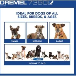 Dremel 7350-PT Cordless Dog & Cat Rotary Nail Grinder Kit -Cozy Paws 363799 PT6. AC SS1800 V1643149313