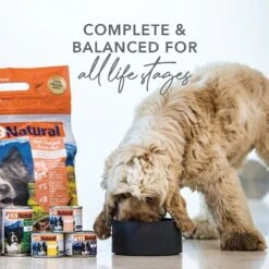 K9 Natural Grass-Fed Lamb Feast Grain-Free Canned Dog Food -Cozy Paws 363944 PT2. AC SS1800 V1643677022