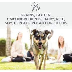 K9 Natural Grass-Fed Lamb Feast Grain-Free Canned Dog Food -Cozy Paws 363944 PT6. AC SS1800 V1643674335