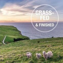 K9 Natural Grass-Fed Lamb Feast Grain-Free Canned Dog Food -Cozy Paws 363944 PT7. AC SS1800 V1643678199