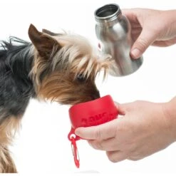 KONG H2O Dog Stainless Steel Bottle -Cozy Paws 364070 PT2. AC SS1800 V1643837546