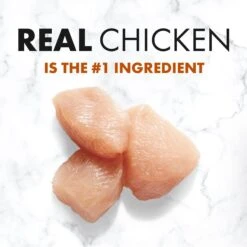 Nutro SO SIMPLE Adult Chicken & Rice Recipe Natural Dry Dog Food -Cozy Paws 366847 PT3. AC SS1800 V1702666768